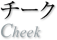 パウダーブラシ