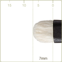 T-12:Eye shadow brush